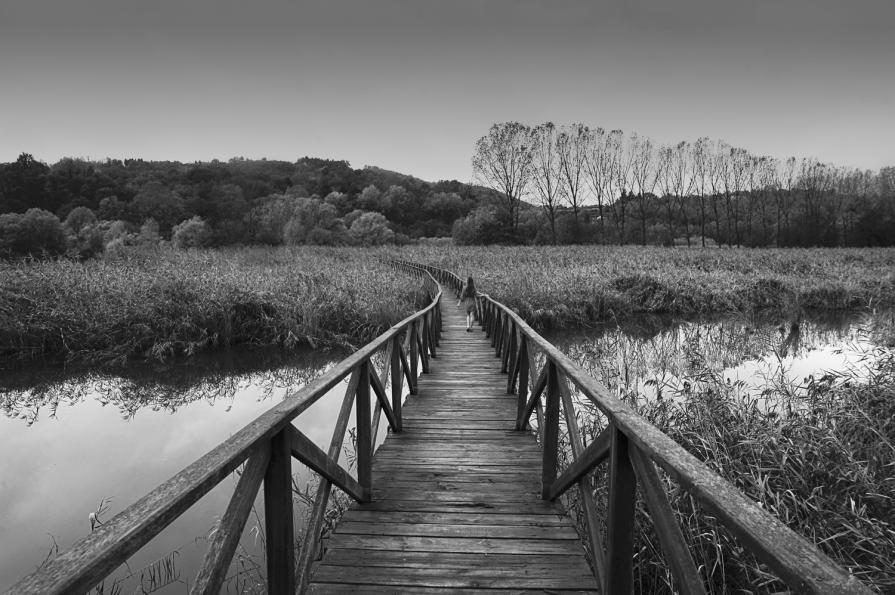 Impressions of November - Temporary solitudes