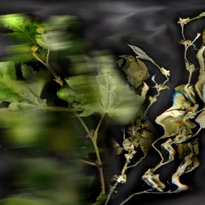 soffermarsi  a guardare il movomento della natura.