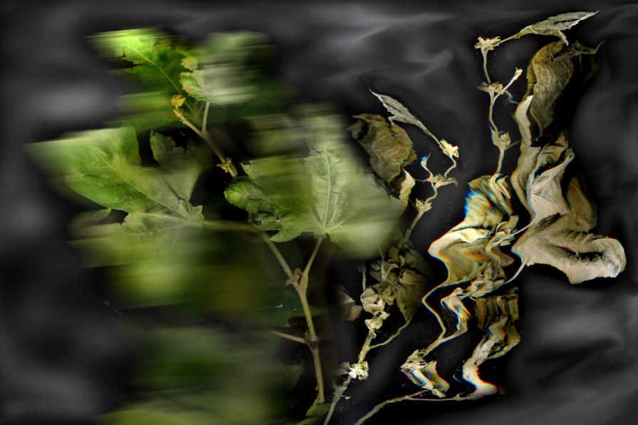 soffermarsi  a guardare il movomento della natura.