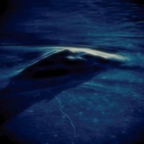 Riemersione - Emersion