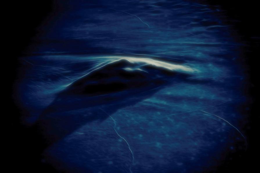 Riemersione - Emersion