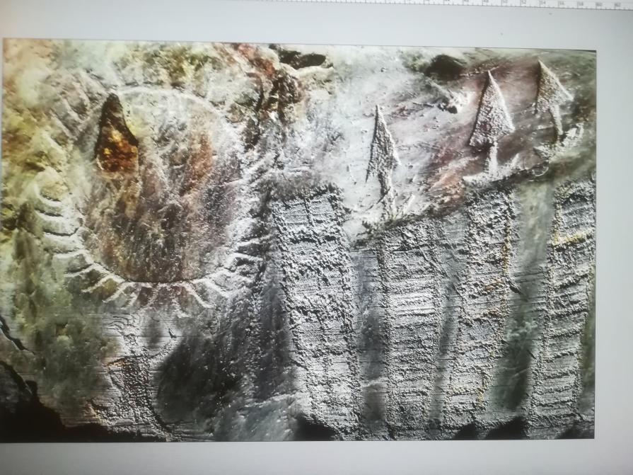 Un viaggio nello spazio tempo con un semplice Smartphone. Tutto era previsto città di capodimonte. 