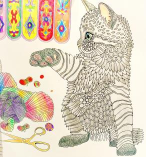 Gatto, la prima volta che ti ho visto ti ho amato...!!!