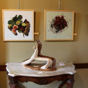 Natura:Luci e Ombre a Modena.