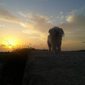 Dalla Terra alla Luna, Giovanni Romano