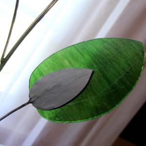 Natura:Luci e Ombre a Modena.