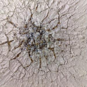 Soqquadro partecipa a CATS