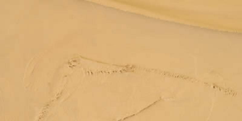 Patrizia Glauser - Insight Outside