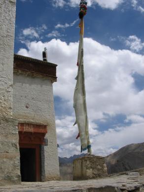 "Sottopelle # 42" Ldk05