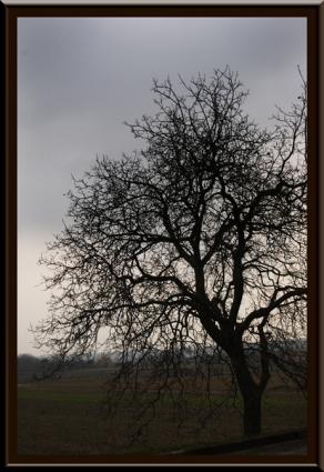 The Spirit of Winter