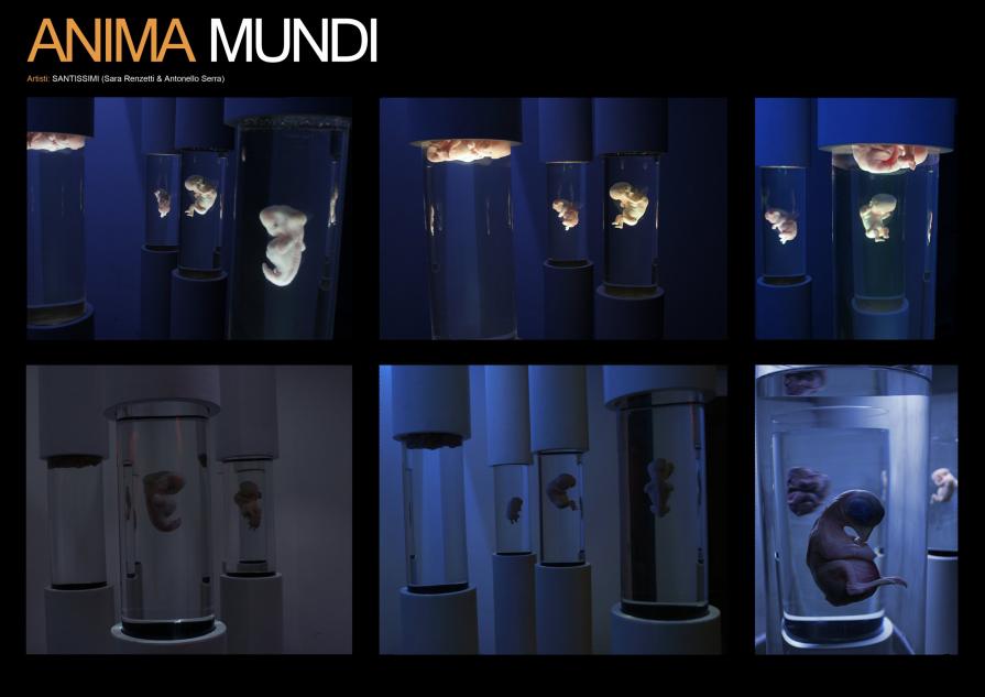 partcolare "Anima Mundi"