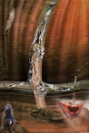 disegna due linee con la tua mente.. si adesso vi spiego..