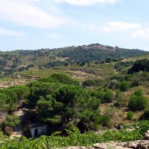 Le petite maisonette à l'ombre des pins