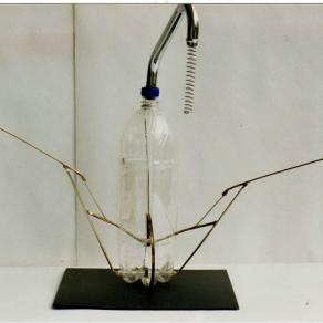 " MEZOLITRIC "CYCLE - RITUAL INITIATIC 1