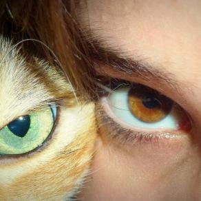 Fusione di uno sguardo