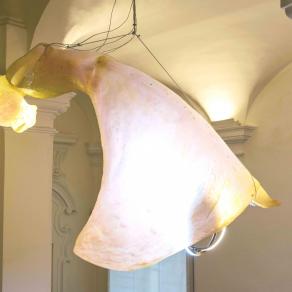 Isadora (dedicata a Isadora Duncan)