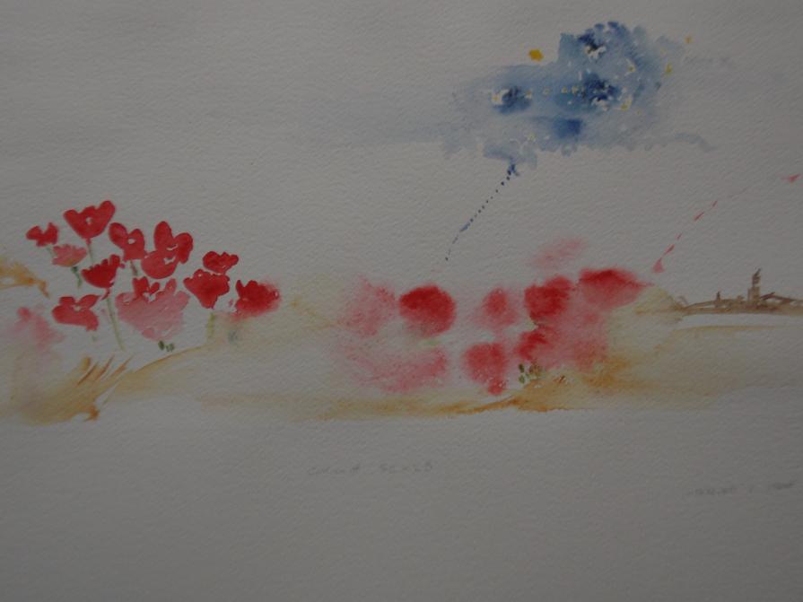 " Papaveri e Stelle"