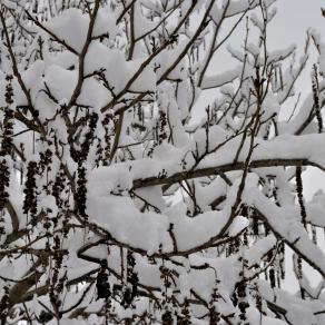 In attesa del Bianco