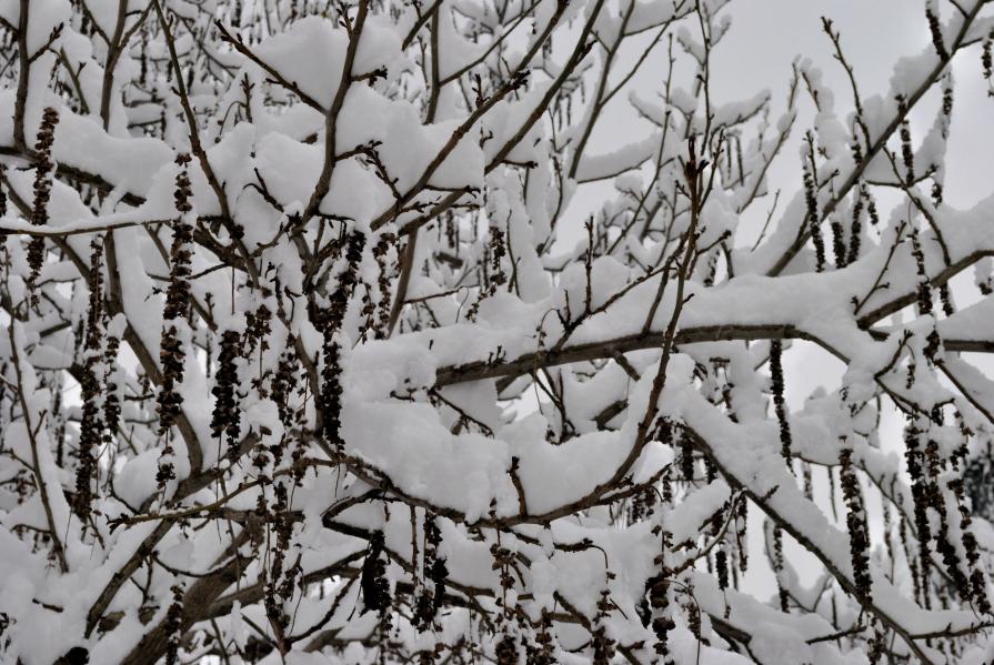 In attesa del Bianco