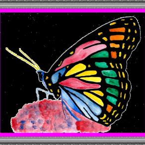 PENSIERI VANNO E VENGONO LA VITA E' COSI..!!!! 