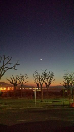 natura metropolitana