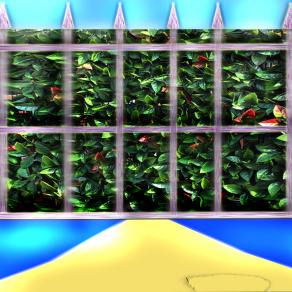 water projects.ecco cosa vi aspetta intorno a villa beretta,plastica edera di plastica una caduta di stile.