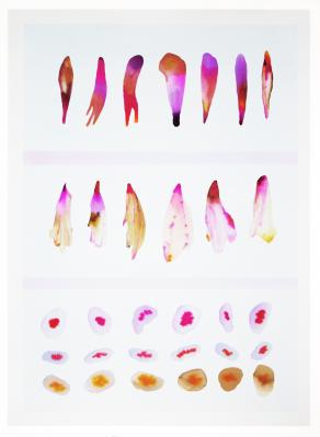 Systema Innaturalis #6