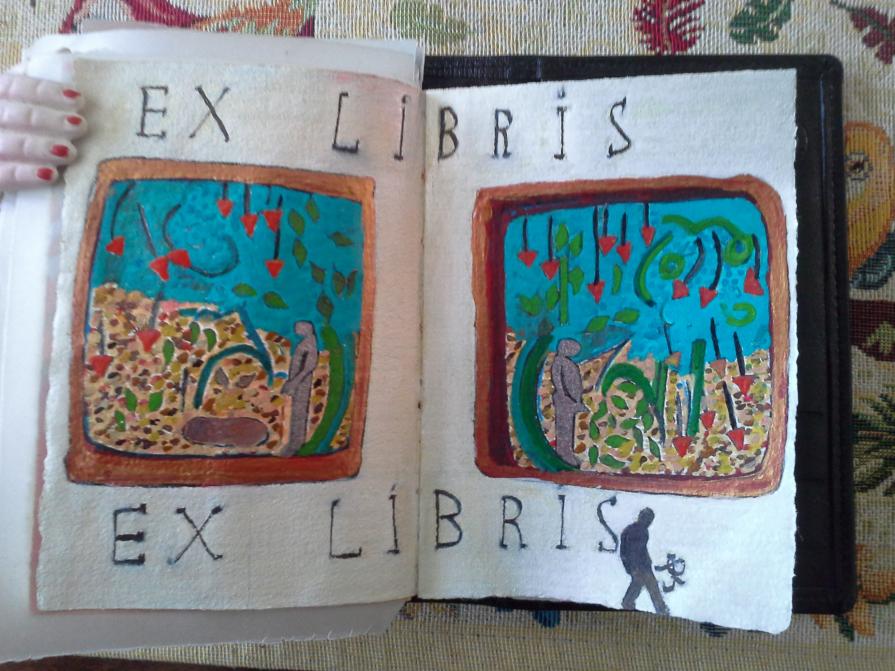 india del sud. work in progress