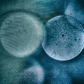 A volte perdo la consapevolezza di essere immortale  - Sometimes I lose the awareness of being immortal -