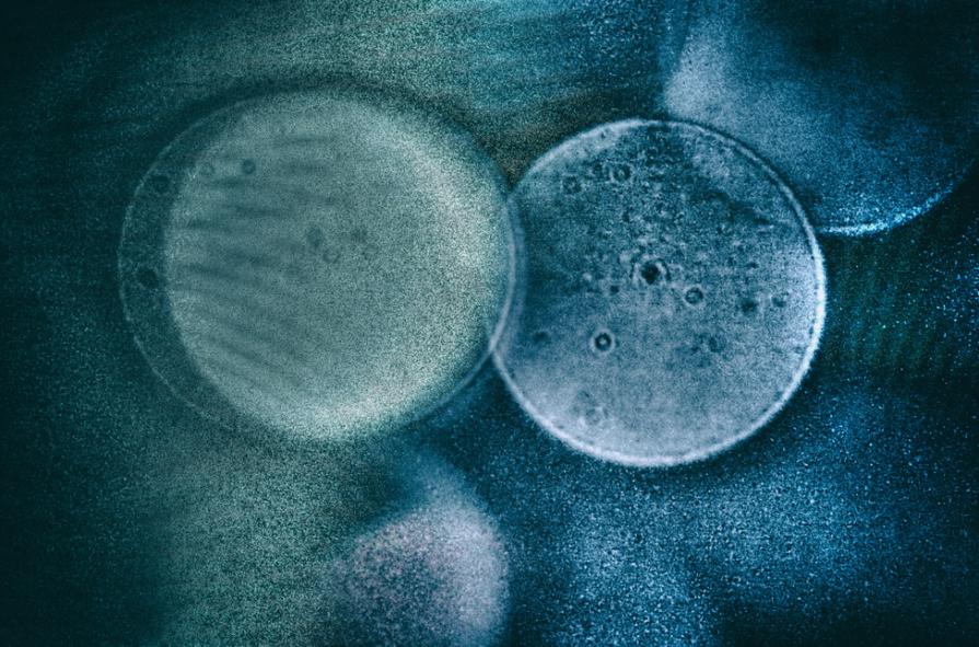 A volte perdo la consapevolezza di essere immortale  - Sometimes I lose the awareness of being immortal -