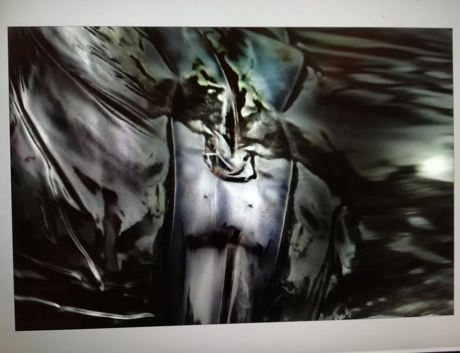 Uno sguardo su Orizzonti liberi. 