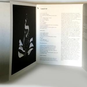 Letizia Ardillo e Yarona Pinhas -Visioni- Letizia Ardillo e Yarona Pinhas -Visioni-