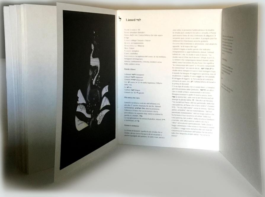 Letizia Ardillo e Yarona Pinhas -Visioni-