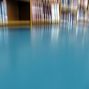 MARINA GIANNOBI - “Ciò che vediamo, ciò che ci guarda” a cura di Martina Cavallarin