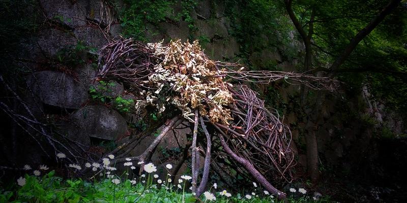 Rodolfo Liprandi ed Ersilia Sarrecchia, IN / NATURA