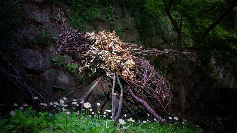 Rodolfo Liprandi ed Ersilia Sarrecchia, IN / NATURA