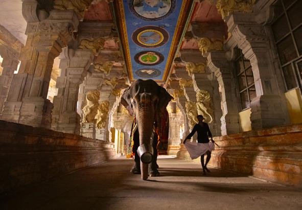 Mad on Paper Bruno Tamiozzo "Colours of India