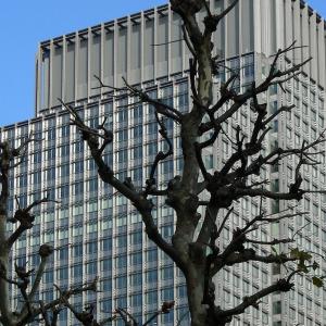 Japan. Tokyo lines / skyline