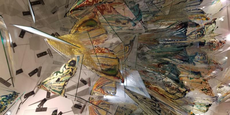 Le emozioni, Arte e Ospedale Le emozioni, Arte e Ospedale