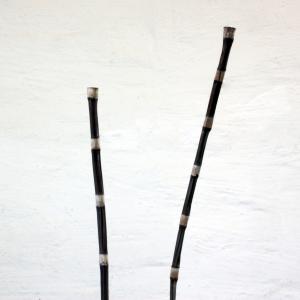 HUMUS NOSTRUM HUMUS NOSTRUM