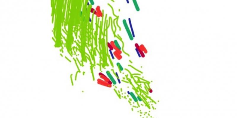 Alejandra Sandoval: Oltre tempo, El tiempo, Il tempo, Time, Le temps, O tempo