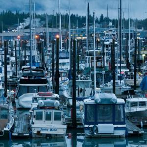 USA. Alaska 1/3. Forme di vita