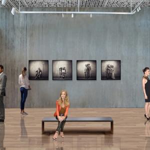 Innesti adattivi / online / Percorso espositivo renderizzato