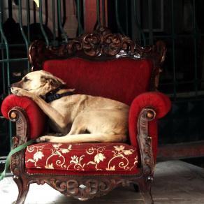 ..non ci sono per nessuno..