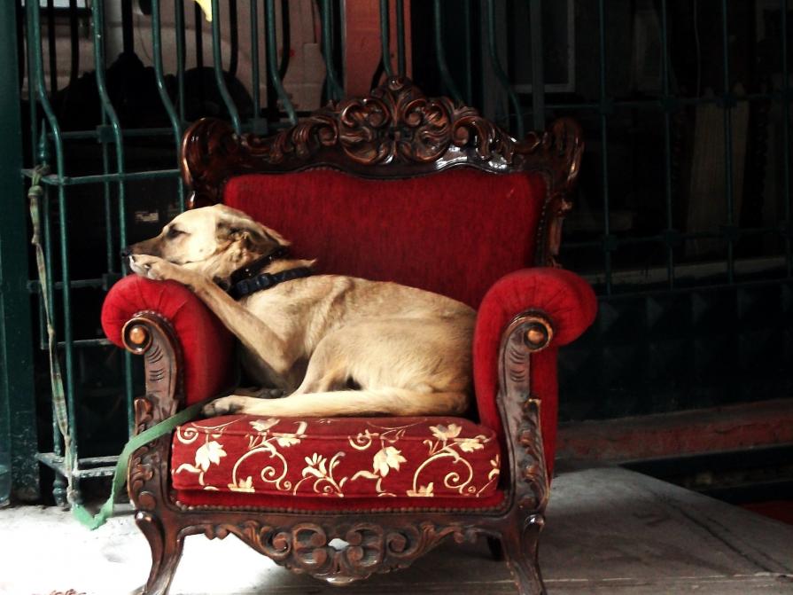 ..non ci sono per nessuno..