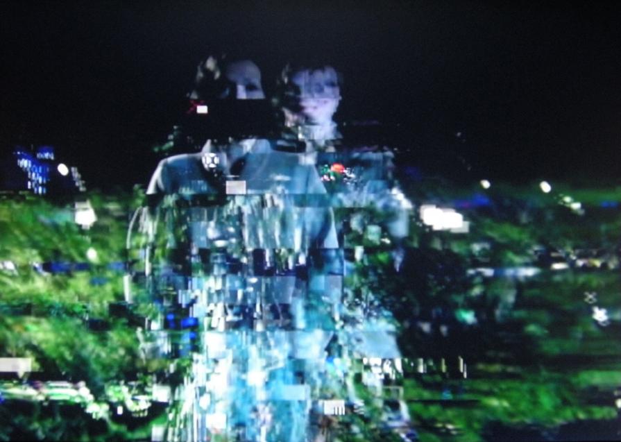 doppia figura - serie interferenze 2012 doppia figura - serie interferenze 2012