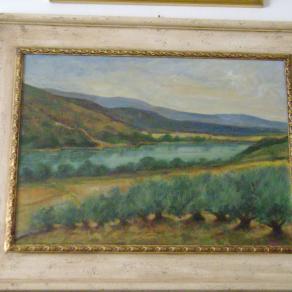 L'OMBRONE CON GLI OLIVI IN MAREMMA