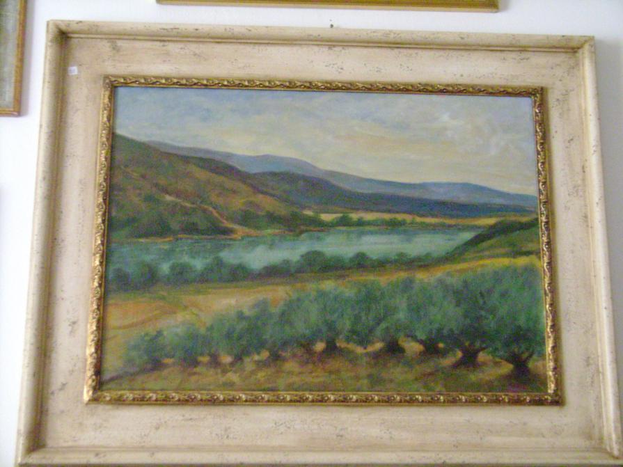 L'OMBRONE CON GLI OLIVI IN MAREMMA