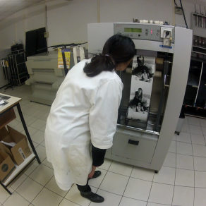 Gli scatti della memoria