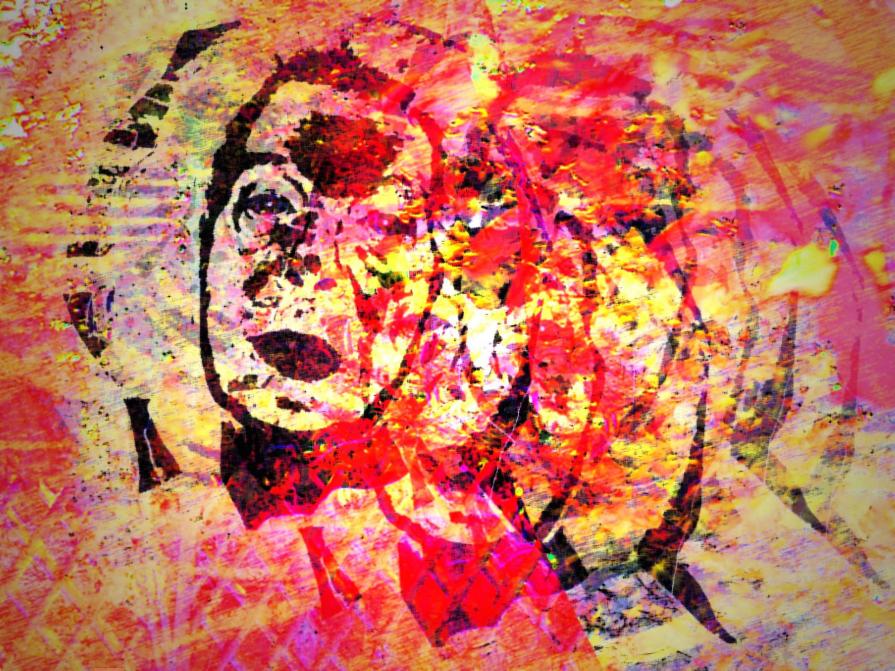 caos colorato primavera